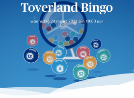 Toverland bingo