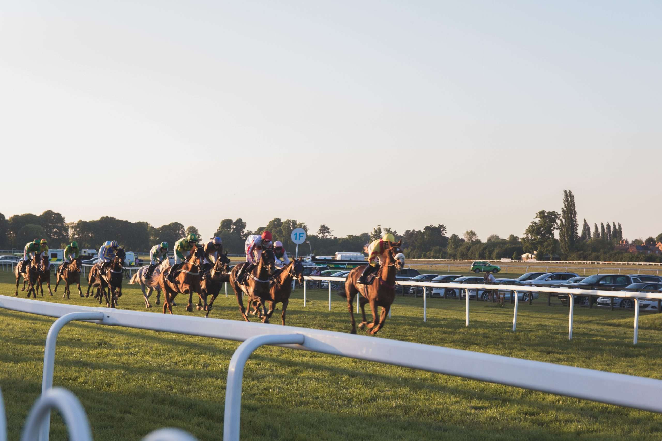 wedden op paarden races
