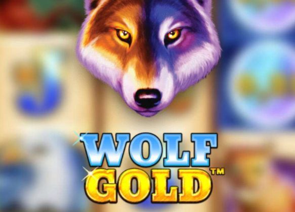 Wolf gold banner