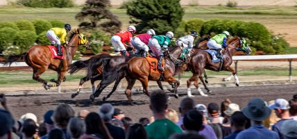 vergunning paardenraces 2022