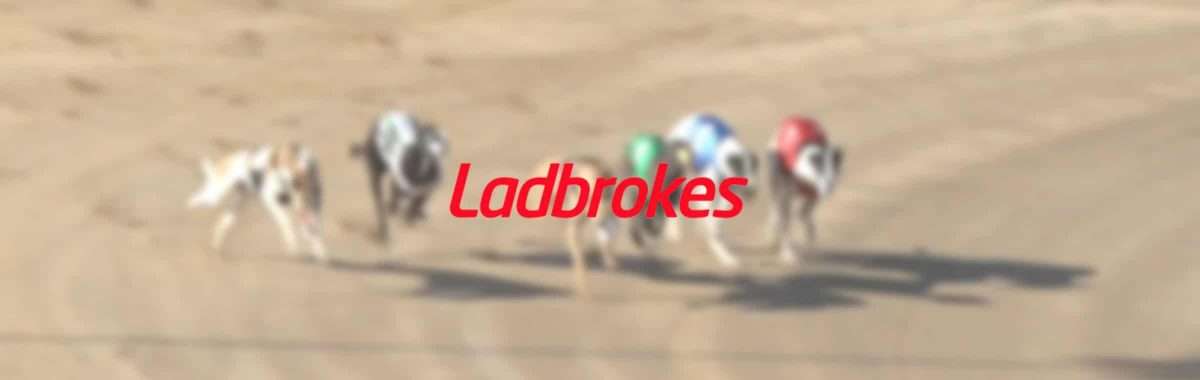 Ladbrokes windhondenrennen