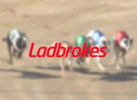 Ladbrokes windhondenrennen