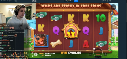 xQc fans gokken stake