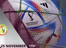 WK 2022_ Wedden op Qatar - Senegal