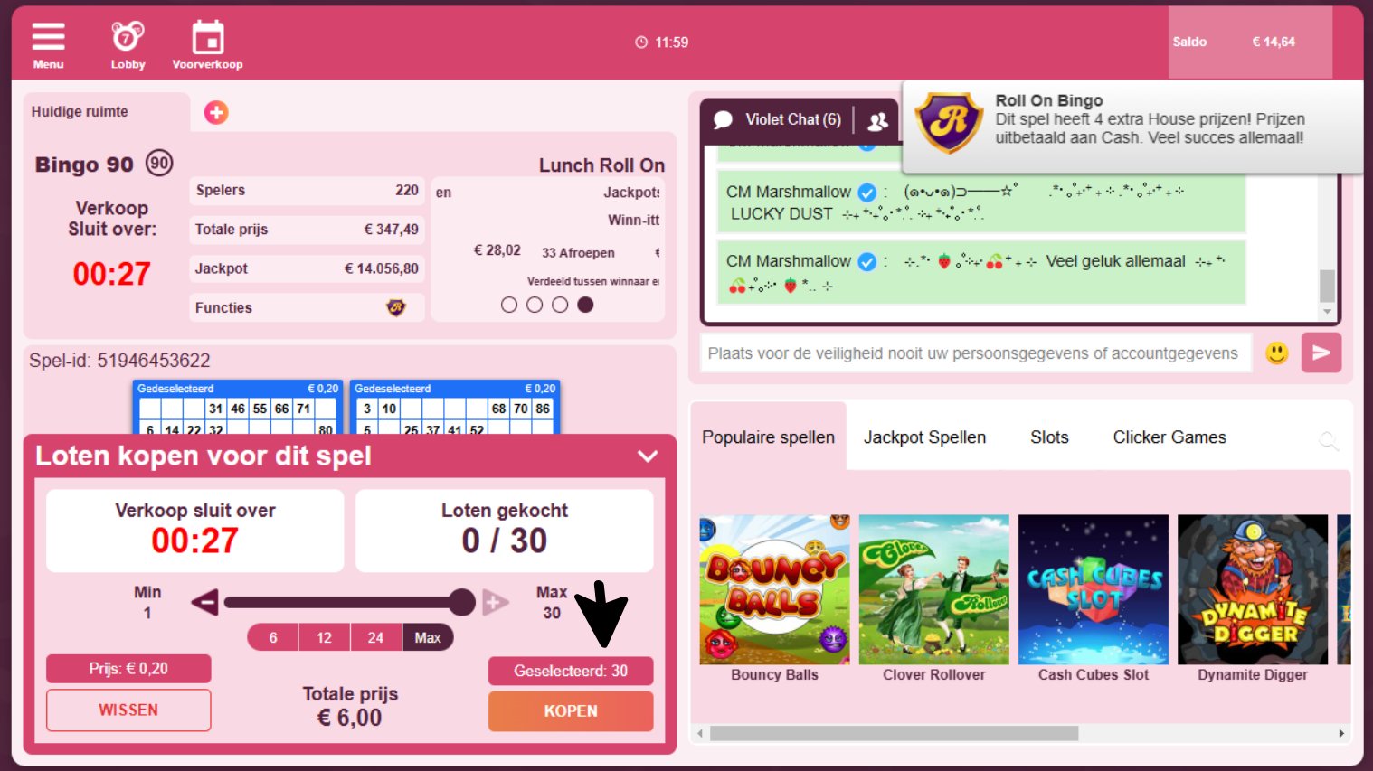 Winnitt bingo 90 kaarten kopen
