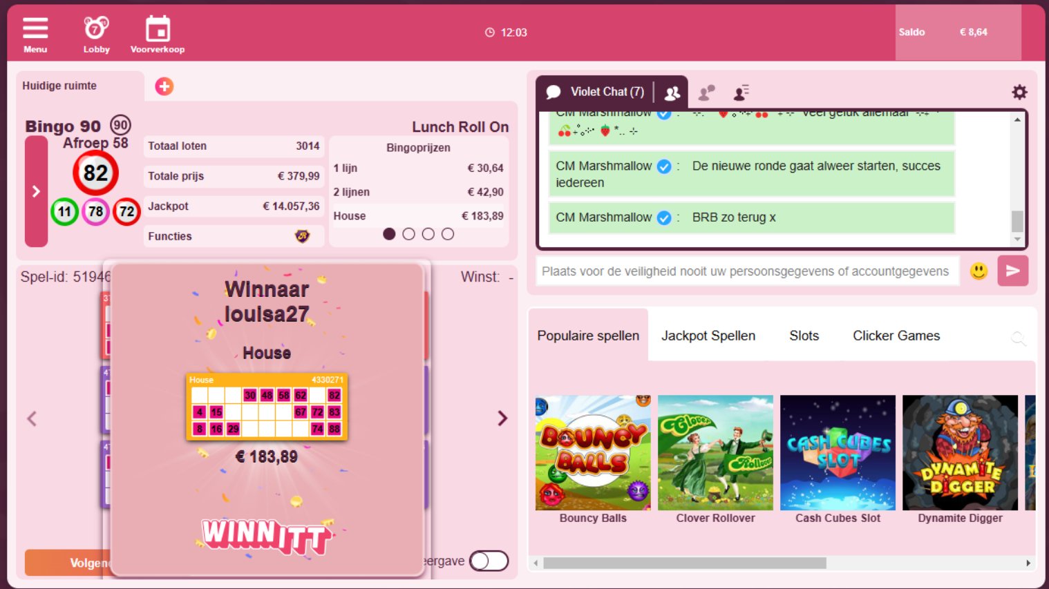 Winnitt bingo 90 volle kaart
