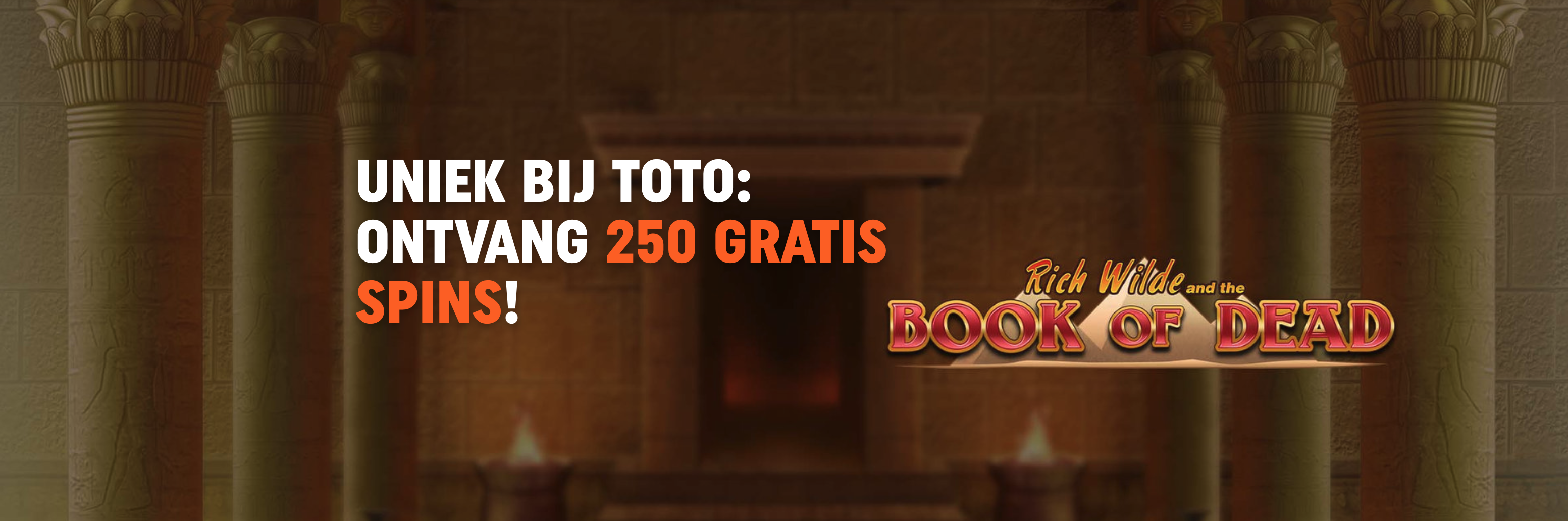 TOTO Rich Wilde free spins