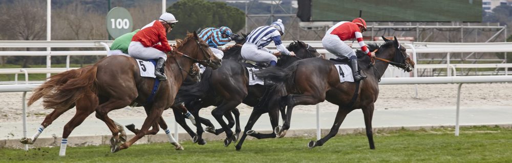 jockey matchfixing