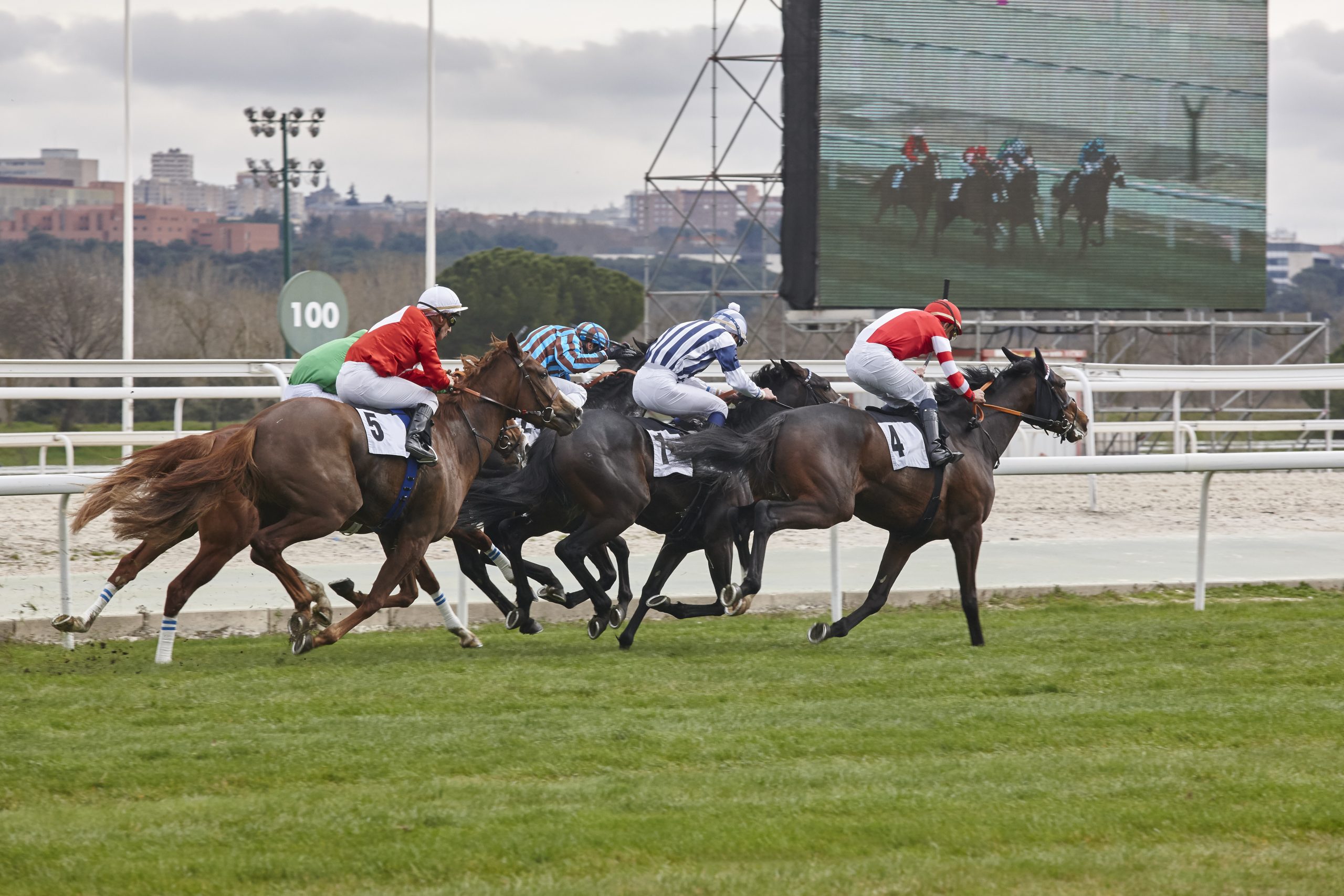jockey matchfixing