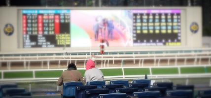 Onderzoek paardenraces