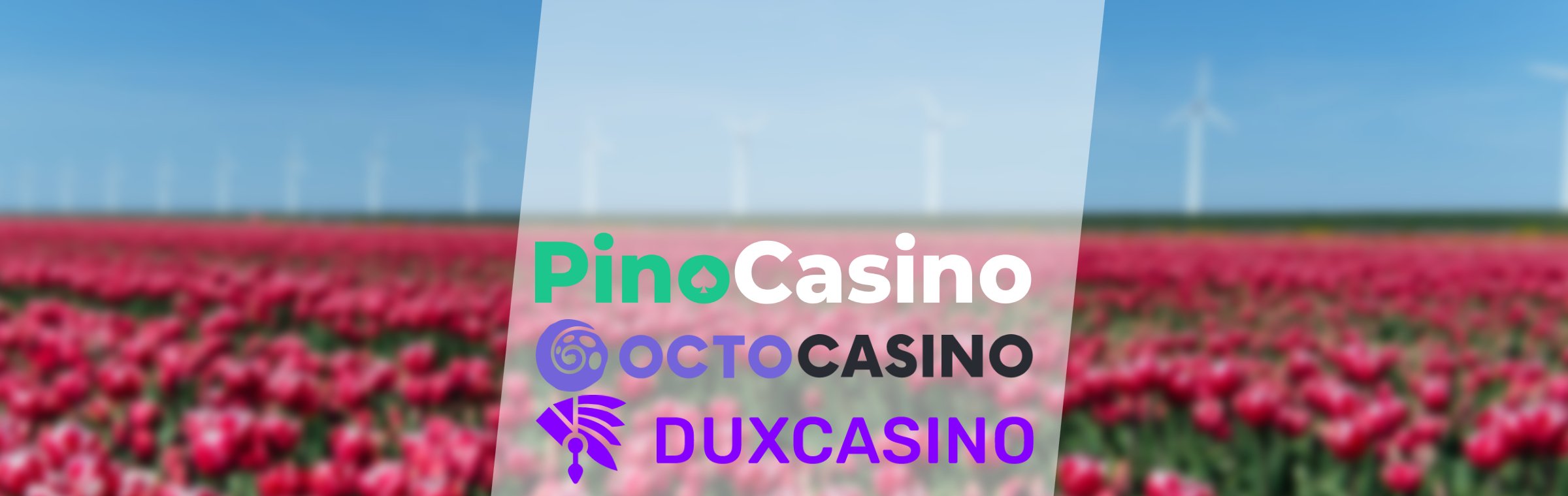 PinoCasino offline Nederland