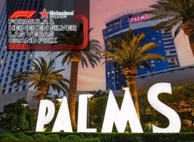formule 1 pakket palms