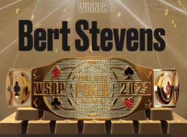 Bert Stevens, WSOP Online Main Event