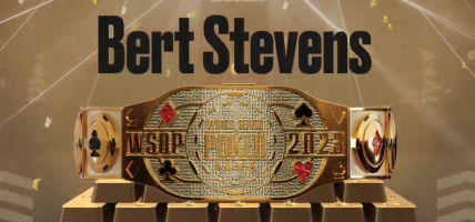 Bert Stevens, WSOP Online Main Event