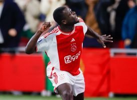 wedden Ajax Brighton