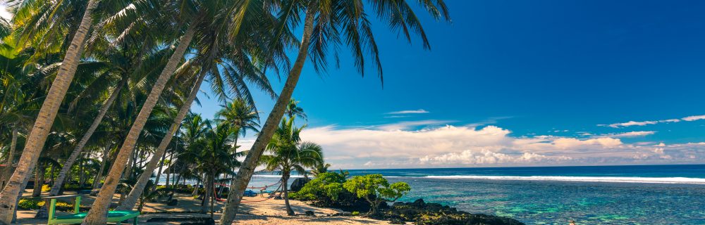 David Group, Fiji