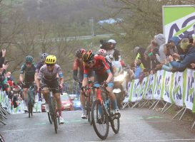 Wout Poels