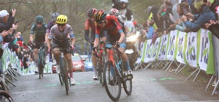 Wout Poels