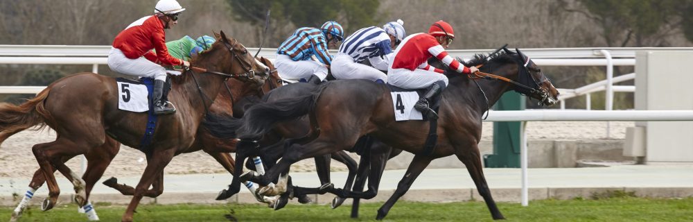 Festival Free Bets