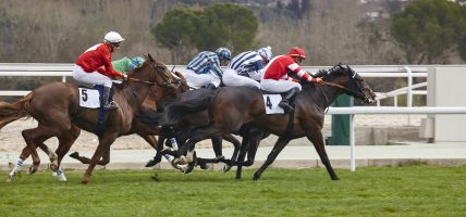 Festival Free Bets