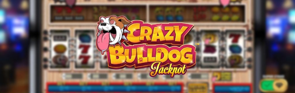 Crazy Bulldog Jackpot