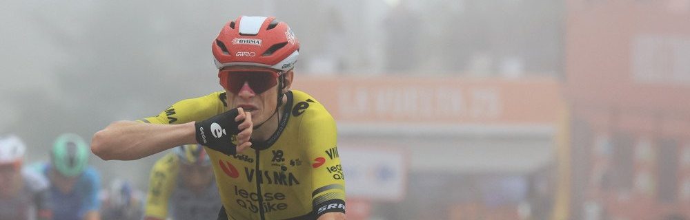 Jonas Vingegaard