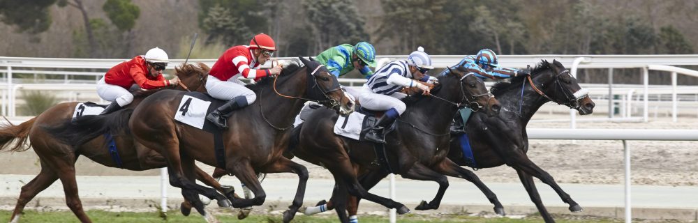 Agent oplichting paardenweddenschappen