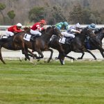 Agent oplichting paardenweddenschappen
