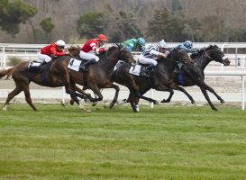 Agent oplichting paardenweddenschappen