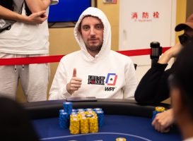 Joris Michl, WPT