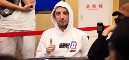 Joris Michl, WPT