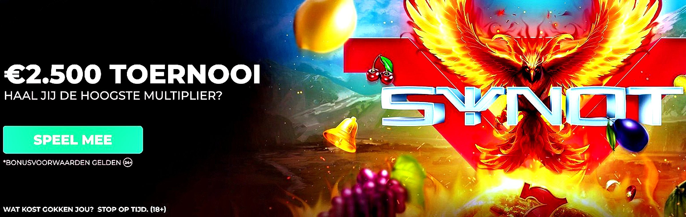 711 Synot-toernooi