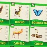 jogo do bicho
