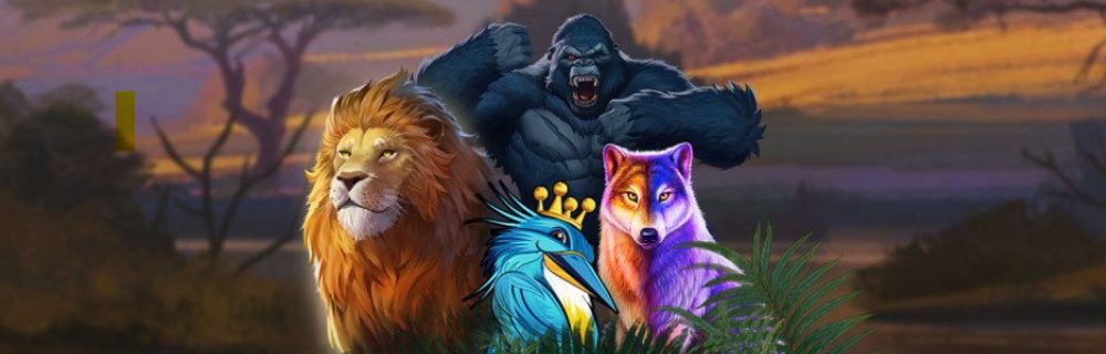 ComeOn Wild Quest