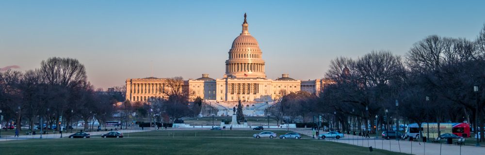 Washington gokwet