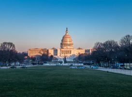 Washington gokwet