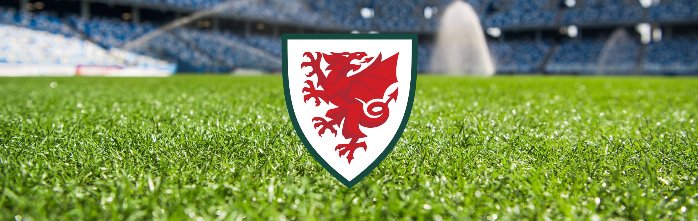 Logo van de voetbalbond van Wales