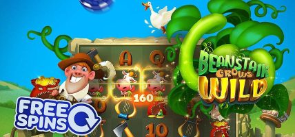 Kansino Beanstalk Grows Wild