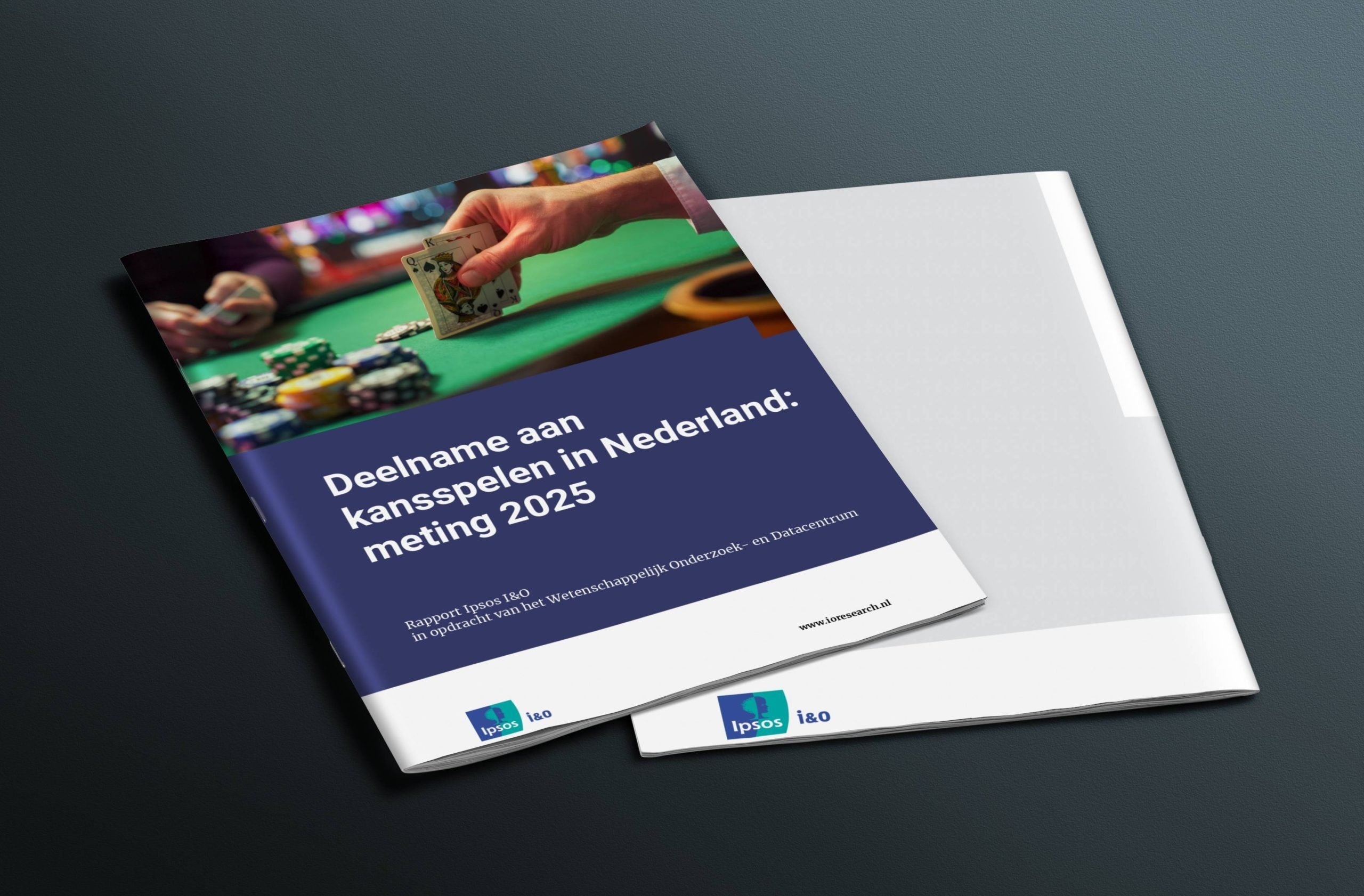 Rapport IPSOS