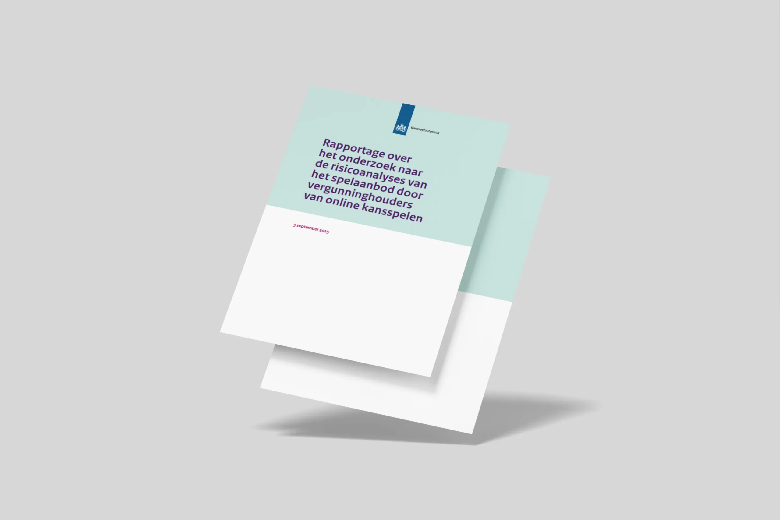 risicoanalyses
