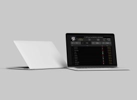 WSOP Super Circuit Online Main Event