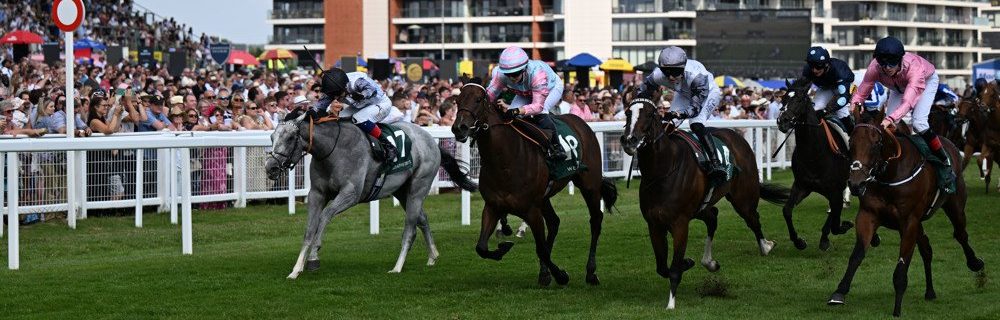 PMU AI paardenraces