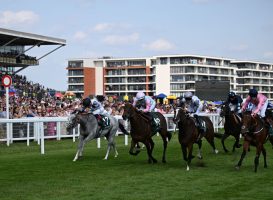 PMU AI paardenraces