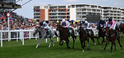 PMU AI paardenraces