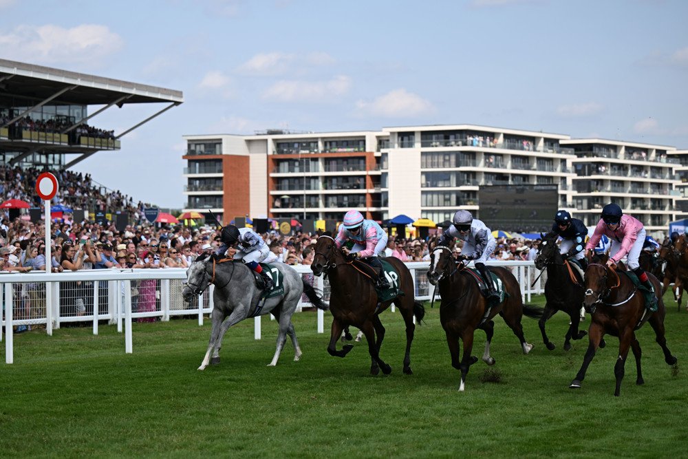 PMU AI paardenraces